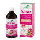 Echinka – jitrocelový sirup s echinaceou pro děti