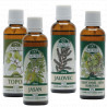 Kúra pro posílení a podporu detoxikace - NK24