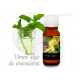 Vonný olej do aromalampy Sladká vanilka: 10ml