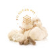 Hericium PRO