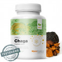 Chaga PRO