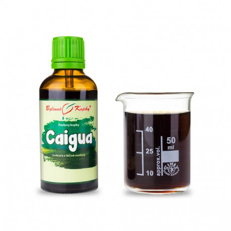 Caigua (ačokča) - Pavlovy bylinné kapky (tinktura) 50 ml