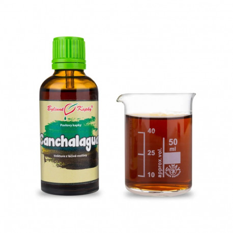 Canchalagua - Pavlovy bylinné kapky (tinktura) 50 ml