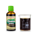 Chanca Piedra nať (Phyllanthus niruri) - Pavlovy bylinné kapky (tinktura) 50 ml
