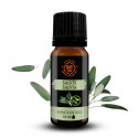 BIO 100% Esenciální olej Šalvěj, 10 ml, Day Spa
