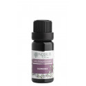 Harmonie 2 ml sklo