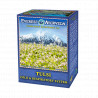 TULSI
