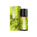 YLANG YLANG